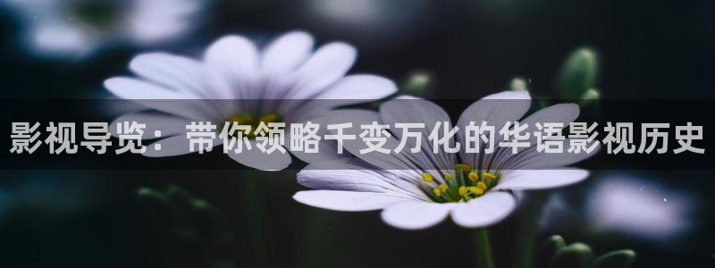 樱花电影观看入口