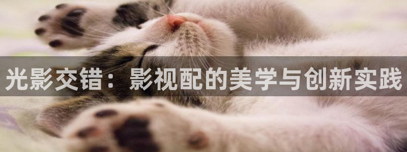 樱花影院看电影