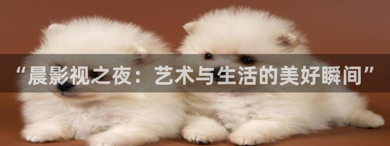 樱花影院 在线观看