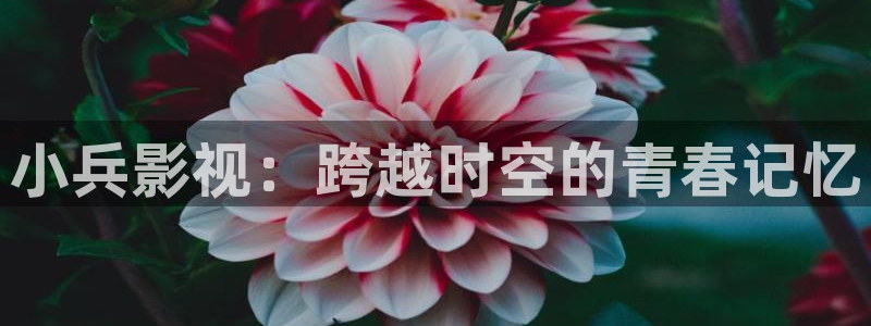 樱花电影网官网